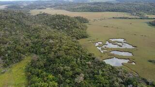Região do Parque Nacional da Serra da Bodoquena, no Estado. (Foto: WWF-Brasil)