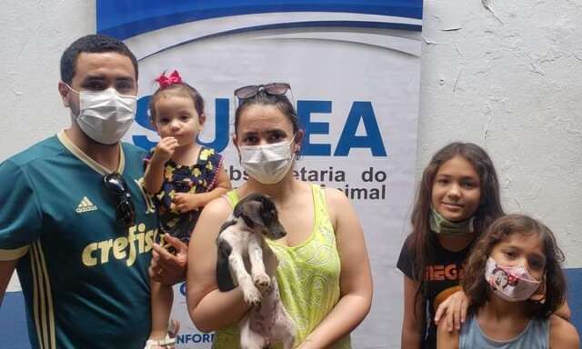 Prefeitura realiza feira com 50 animais para ado&ccedil;&atilde;o no s&aacute;bado