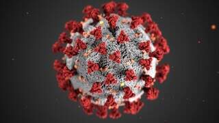 Simulação de um vírus. (Foto: CDC/Reprodução/Pexels) 