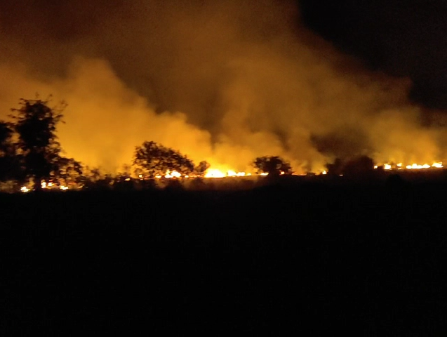 Inc&ecirc;ndio criminoso devasta 40 mil m&sup2; de vegeta&ccedil;&atilde;o em fazenda 