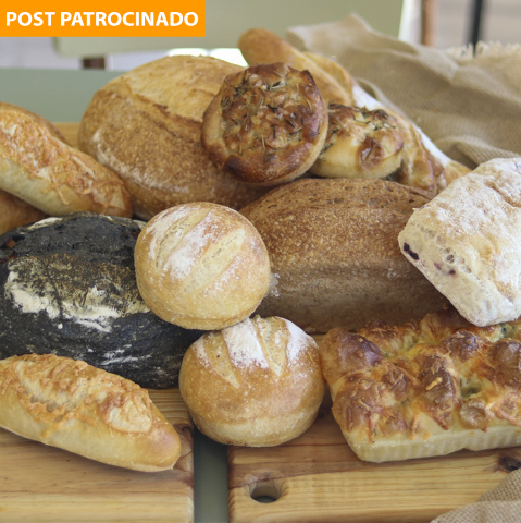 Com fermentação natural, Trigou surgiu para produzir pão de verdade