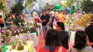 Ap&oacute;s 2 anos, Exposi&ccedil;&atilde;o Nacional de Orqu&iacute;deas volta a Campo Grande