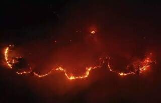 Imagem área feita por brigada de incêndio no Pantanal de Mato Grosso do Sul. (Foto: Divulgação)