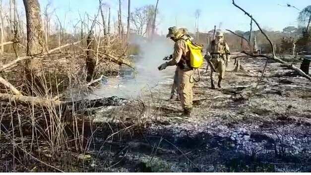 Opera&ccedil;&atilde;o ganha refor&ccedil;o de aeronave no combate aos inc&ecirc;ndios no Pantanal