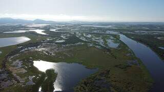 Imagem aérea do Pantanal, abastecido pelas águas da bacia do Alto Paraguai. (Foto: Divulgação GM)