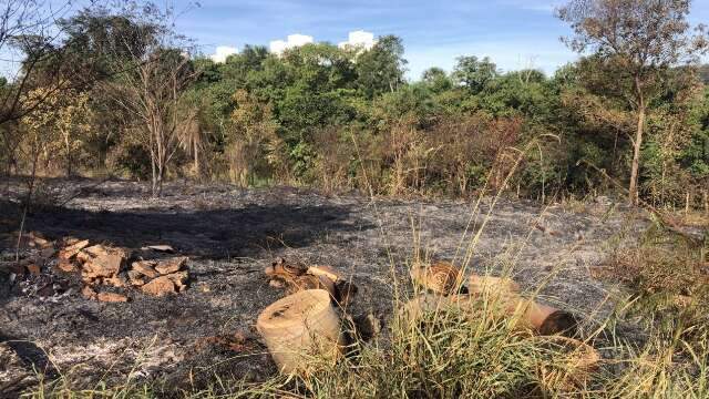 Inc&ecirc;ndio atinge reserva ambiental na Bom Pastor e fuma&ccedil;a toma conta da via 