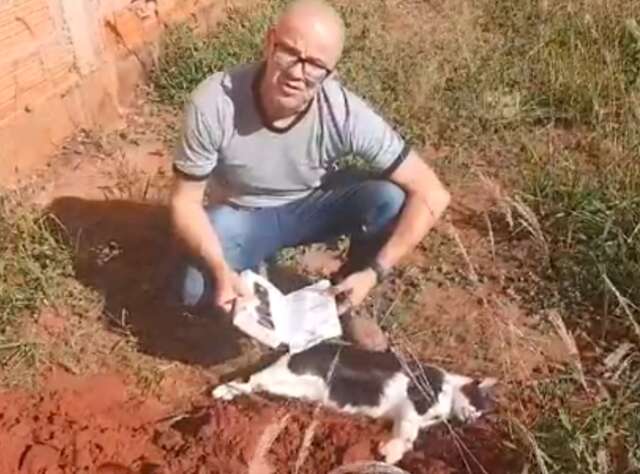 Com cita&ccedil;&atilde;o b&iacute;blica, gato &eacute; enterrado e morador denuncia envenamento