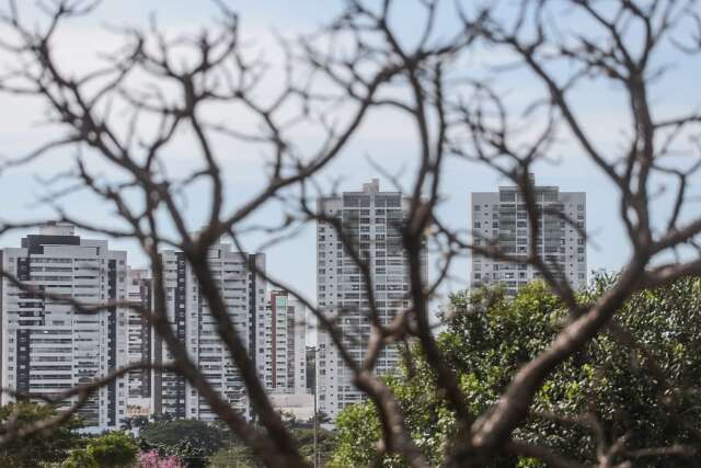 Com 12% de umidade, clima des&eacute;rtico &eacute; alerta em MS