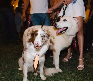 Cães fazem a festa e dão show com trajes típicos em  ‘Aurraiá’ julino
