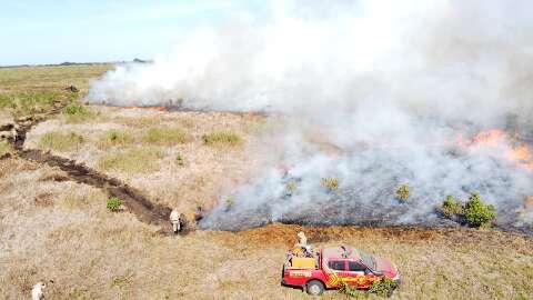 Já prevendo aumento de incêndios, Pantanal prepara-se para os meses mais secos