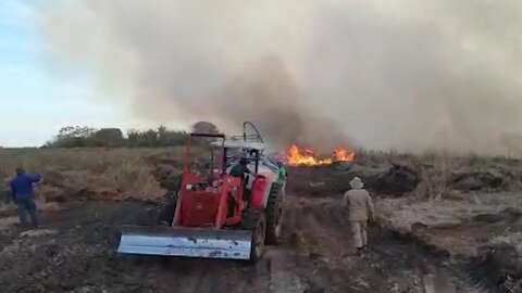 Em um dia, mais de 18 mil hectares queimaram no Pantanal de MS
