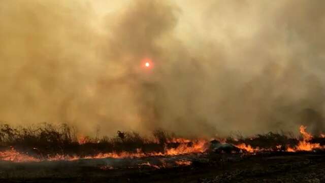 Fogo atinge Pantanal em Porto Murtinho e destr&oacute;i cerca de 12 mil hectares