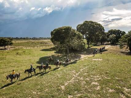 Pantanal na lista das melhores rotas para passeio a cavalo