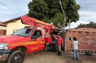 Equipe do Corpo de Bombeiros no local para fazer a redirada da árvore que caiu sobre casa (Foto: Marcos Maluf)