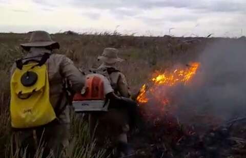 Com reforços do interior, 106 militares de MS combatem incêndios no Pantanal