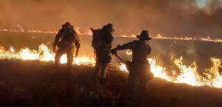 Brigadistas combatem incêndio no Pantanal sul-mato-grossense, em julho. (Foto: Corpo de Bombeiros Militar)