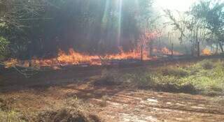 Incêndio no Assentamento Canoas no município de Selvíria. (Foto: Divulgação)