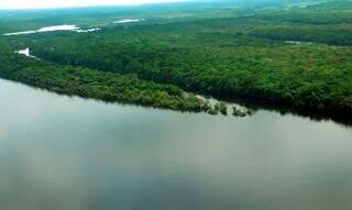 Bioma da Amazônia, no norte brasileiro, concentra rede de crimes ambientais envolvendo desmatamento, grilagem, dentre outros. (Foto: Agência Brasil)