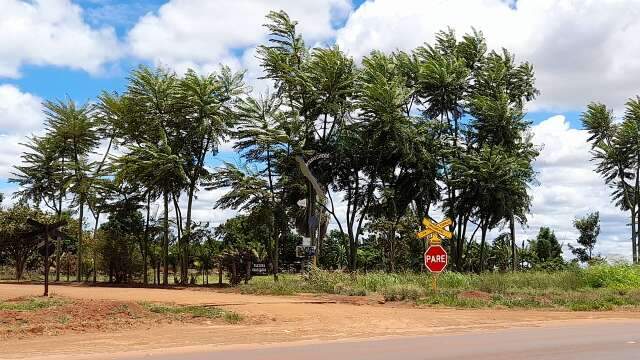 Minist&eacute;rio P&uacute;blico vai investigar suposto acampamento &quot;fake&quot; em Terenos