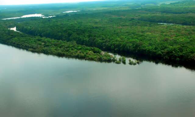 Rede de crimes ambientais na Amaz&ocirc;nia tem ramifica&ccedil;&otilde;es at&eacute; em MS