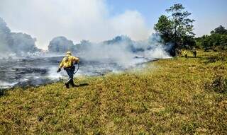 Brigadista combatendo incêndio florestal. (Foto: Divulgação) 