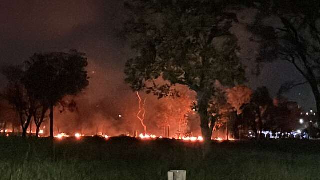 Fogo se espalha em &aacute;rea verde do Parque dos Poderes