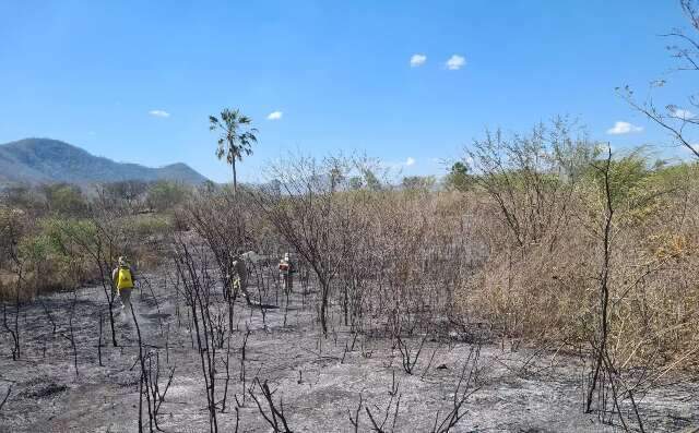 Em 2022, &aacute;rea queimada no Pantanal j&aacute; &eacute; 26% maior que no ano passado