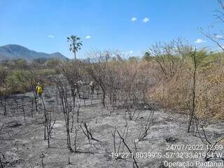 Área queimada por incêndios no Pantanal de Mato Grosso do Sul. (Foto: Corpo de Bombeiros Militar)