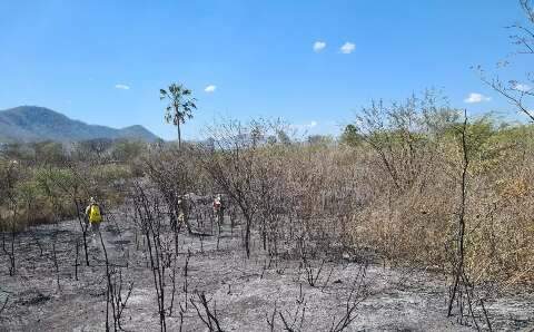 Em 2022, área queimada no Pantanal já é 26% maior que no ano passado