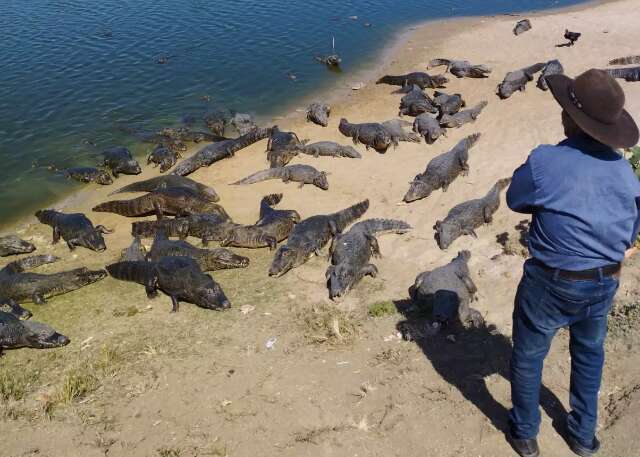 Em busca de advogados, &quot;Airton do Jacar&eacute;&quot; teme ter de abandonar casa de 30 anos