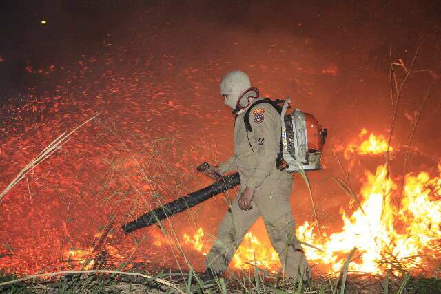 Bombeiros tentam conter avan&ccedil;o de chamas em terreno na Mata do Jacinto 