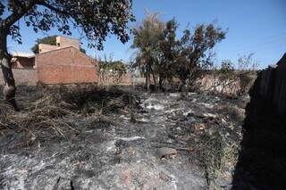 Terreno baldio após incêndio; cena é comum durante meses secos, como julho ou agosto. (Foto: Marcos Maluf)