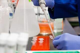 Manipulação de amostras em laboratório. (Foto: Martin Lopez)
