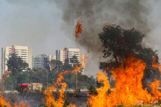 Incêndios tomam conta de terrenos baldios na Capital e geram riscos à saúde. (Foto: Marcos Maluf/Arquivo)