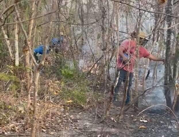 Bombeiros enviam equipe para combater fogo que se arrasta pelo 3&ordf; dia em fazenda