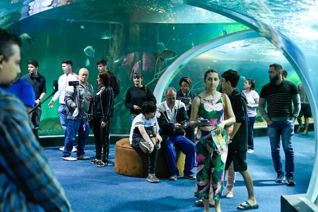Bioparque amplia em mais 18 mil vagas mensal e por ordem de chegada