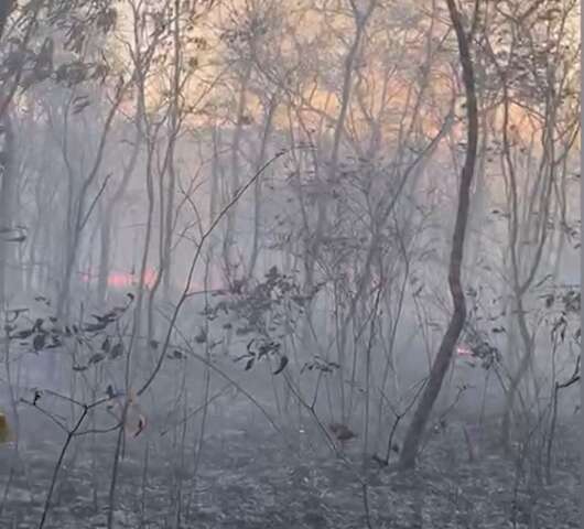 Fogo em fazendas chega ao 3&ordm; dia e consome 100 hectares ap&oacute;s acidente