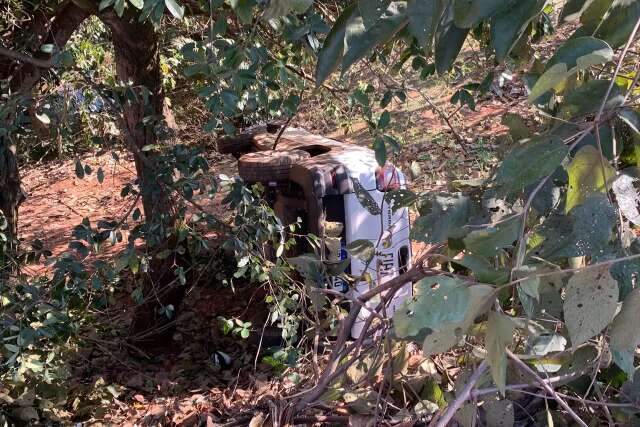 Motorista perde controle e s&oacute; n&atilde;o despenca em c&oacute;rrego por causa de &aacute;rvore