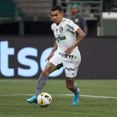 Atl&eacute;tico-MG e Palmeiras iniciam disputa por vaga na semifinal da Libertadores