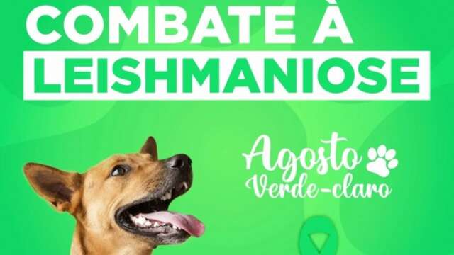Em &quot;Agosto Verde Claro&quot;, foco &eacute; campanha contra a leishmaniose