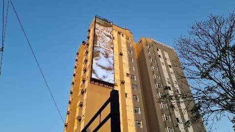 Campo Grande ganha 1&ordm; painel gigante de LED em pr&eacute;dio, ao estilo Times Square