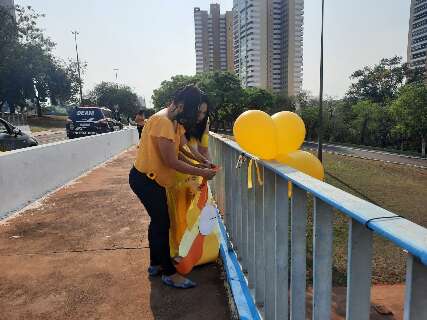 Vereadores votam hoje permissão para que pontes recebam cartazes contra suicídio