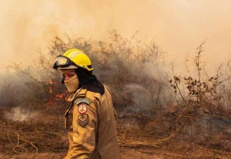Sinfonia da Sobrevivência: documentário retratará queimadas de 2020 no Pantanal
