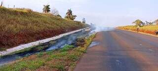 Vegetação às margens da rodovia também foi atingida pelo fogo. (Foto: Divulgação/Corpo de Bombeiros)