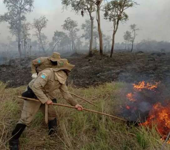 Com mais militares e aceiros, opera&ccedil;&atilde;o refor&ccedil;a combate ao fogo no Pantanal  