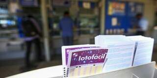 Canhoto de sorteio da Lotofácil, promovido pela Caixa Econômica Federal. (Foto: Agência Brasil)