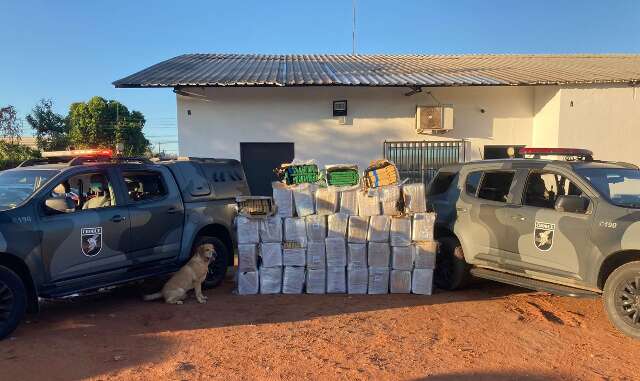 Em opera&ccedil;&atilde;o, Choque apreende R$ 1,4 milh&atilde;o em maconha no Coronel Antonino