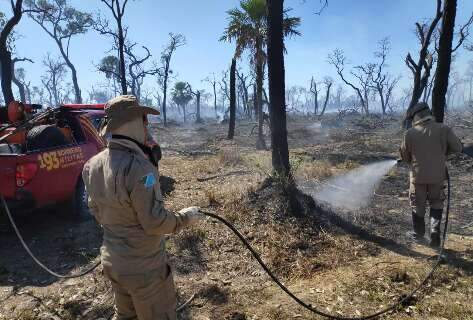 Chuva reduz incêndios no Pantanal, mas não desmobiliza bombeiros  