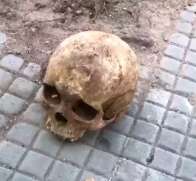 Moradores encontram crânio e ossada humana ao lado de escola 
