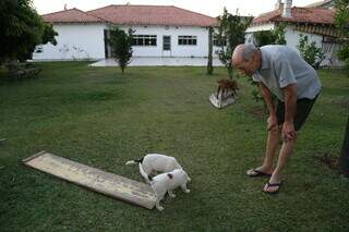 Maurício conta que cachorros também aproveitam o quintal. (Foto: Kísie Ainoã)